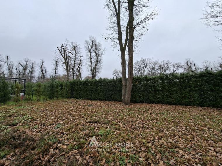 Casă! Vadul lui Vodă, str. Teilor, 100m2 + 6 ari! Variantă albă!: 11