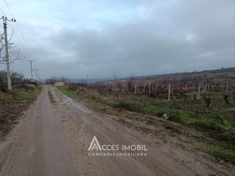 Teren pentru construcții 12 ari! Trușeni, str. Valnova!: 1