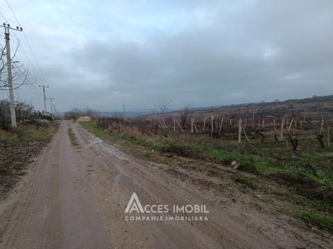 Teren pentru construcții 12 ari! Trușeni, str. Valnova!: 1