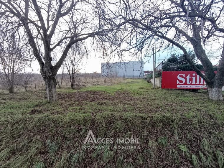 Lot de teren agricol, 30 ari! Trușeni! str. Calea Trușenilor: 0