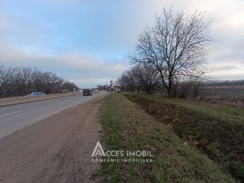 Lot de teren agricol, 30 ari! Trușeni! str. Calea Trușenilor: 1