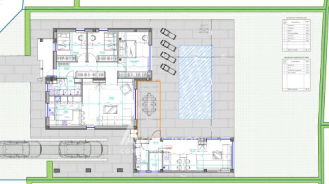 Дом, Вадул-луй-Водэ, ул. Теилор, 100м2 + 6 сот! Белый вариант!: 12