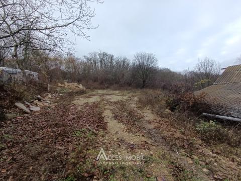 Земельный участок под строительство 5 соток, Центр, ул. Порумбитей!: 3