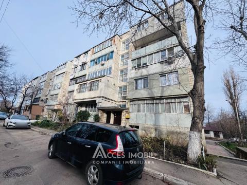 Telecentru, str. Drumul Viilor, 2 camere! Euroreparație!: 13