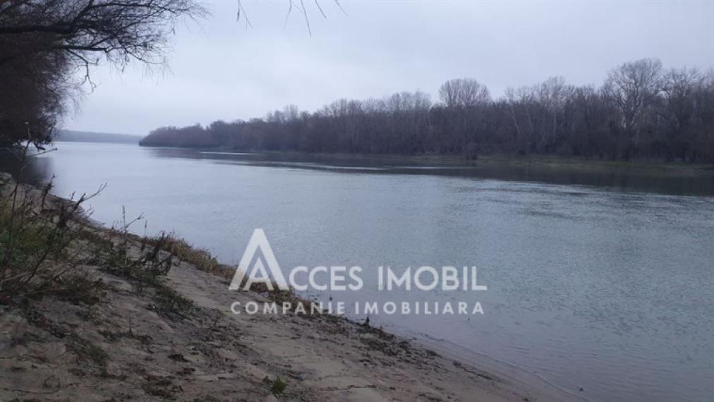 Lot de teren pomicol 6 ari! Pârâta, IP Flora!: 0