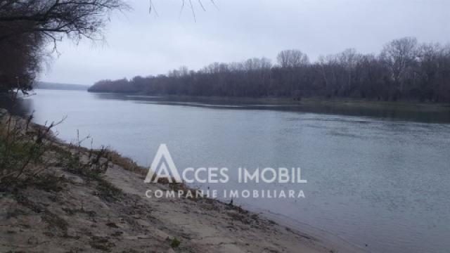 Lot de teren pomicol 6 ari! Pârâta, IP Flora!: 0