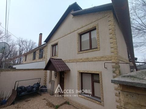 : Botanica, Padurii street