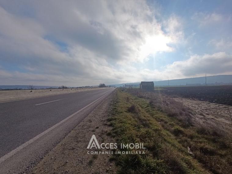 Teren agricol 20 ari! Cojușna, Strășeni!: 1