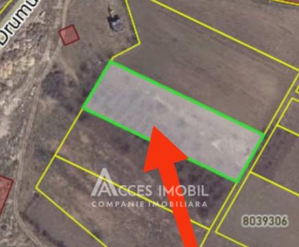 Lot de teren agricol, 40 ari! Trușeni! str. Drumul Vieții: 3