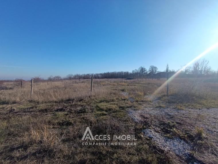 Teren pentru construcții 8.6 ari! Durlești, str. Tricolorului! Sectorul 104!: 2