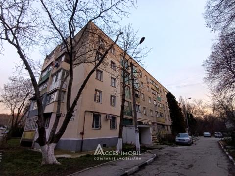 Chirie! Râșcani, str. Pajurii, 2 camere. Euroreparație!: 13