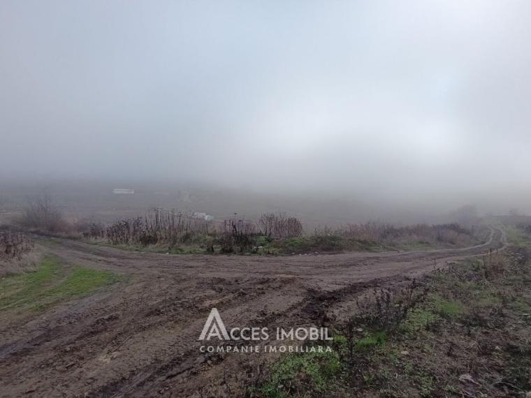 Teren agricol 14 ari, Durlești, str. Mihail Odatiuc!: 0