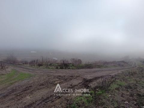 Продажа земельных участков в Кишиневе: Дурлештыул. Виилор