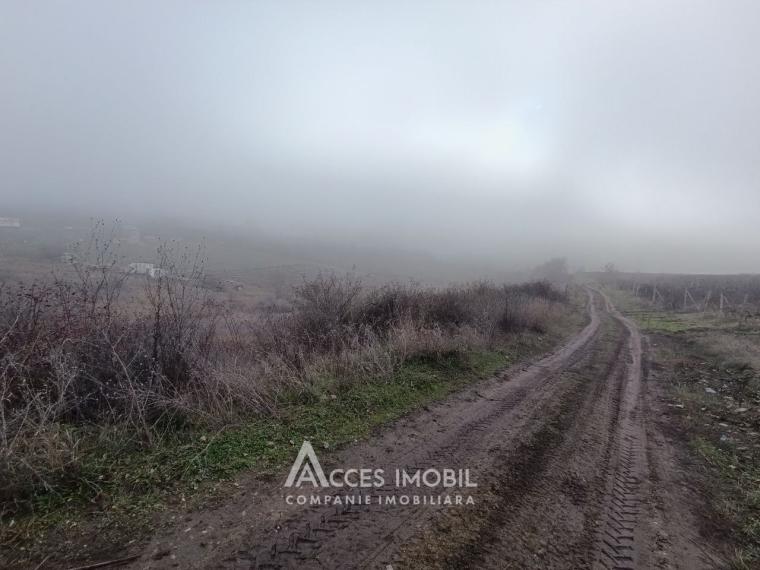 Teren agricol 14 ari, Durlești, str. Mihail Odatiuc!: 1