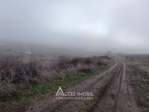 Teren agricol 14 ari, Durlești, str. Mihail Odatiuc!: 1