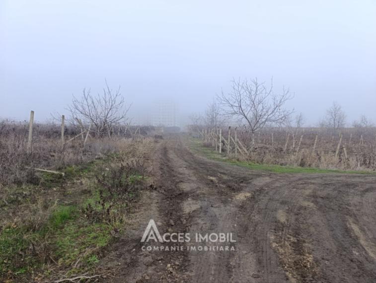 Teren agricol 14 ari, Durlești, str. Mihail Odatiuc!: 2