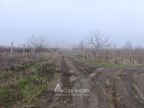 Teren agricol 14 ari, Durlești, str. Mihail Odatiuc!: 2
