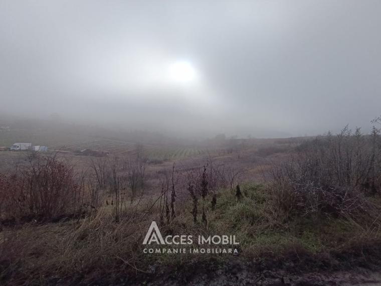 Teren agricol 14 ari, Durlești, str. Mihail Odatiuc!: 3