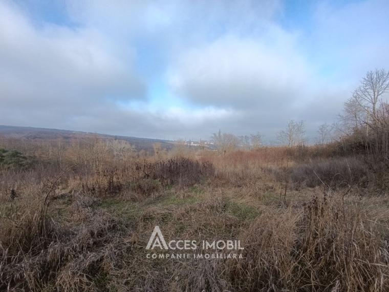 Teren pentru construcții 55 ari, Buiucani, str. Dragomirna!: 0