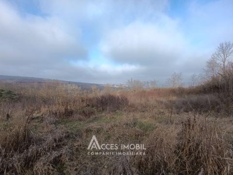 Продажа земельных участков в Кишиневе: Буюканы, ул. Драгомирна