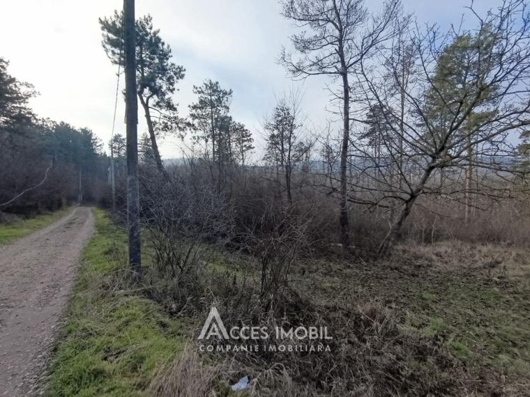 Teren pentru construcții 55 ari, Buiucani, str. Dragomirna!: 2