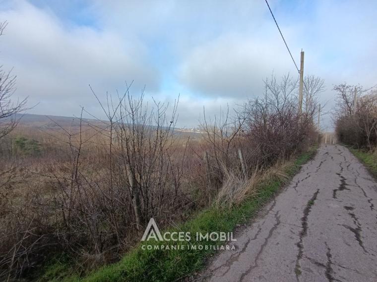 Teren pentru construcții 55 ari, Buiucani, str. Dragomirna!: 3