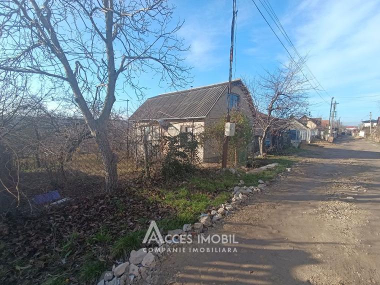 Teren pomicol 6 ari, Codru, str. Ip Vierul!: 0