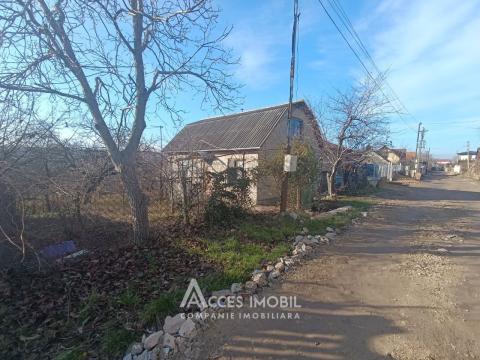 Terenuri de vânzare în Chișinău: Codru, Ip Vierul