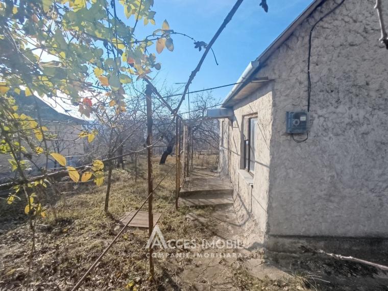 Teren pomicol 6 ari, Codru, str. Ip Vierul!: 1