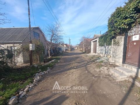 Teren pomicol 6 ari, Codru, str. Ip Vierul!: 2