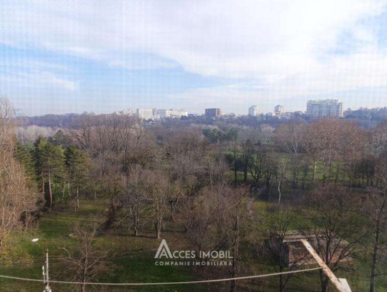 Buiucani, str. Eugen Coca, 1 cameră!: 11