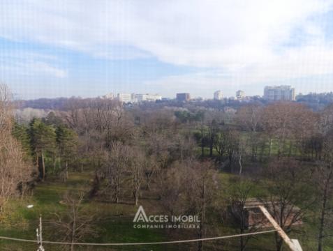 Buiucani, str. Eugen Coca, 1 cameră!: 11