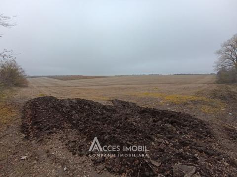 Terenuri de vânzare în Chișinău: Bacioi,str. Băcioii Noi