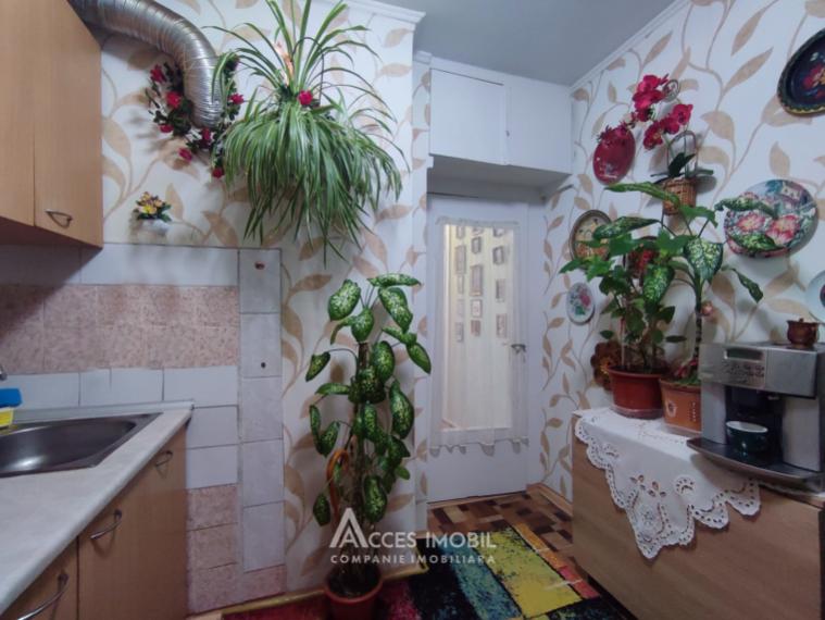 Botanica, str. Burebista, 1 cameră! De mijloc!: 5