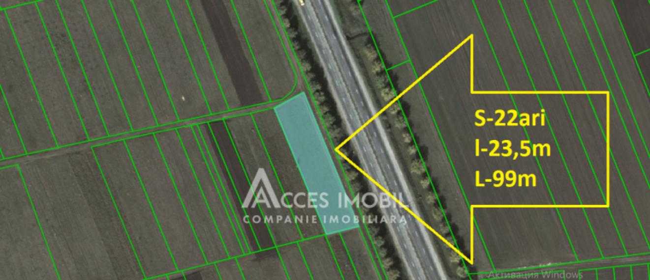 Teren 22 ari! Peresecina. Drum național M2!: 4