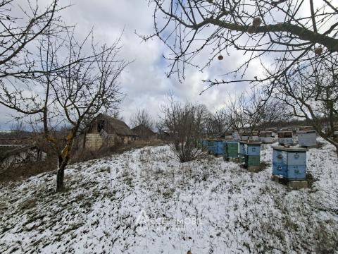 Teren pentru construcție, 42 ari! Brănești, str. Livezilor!: 3