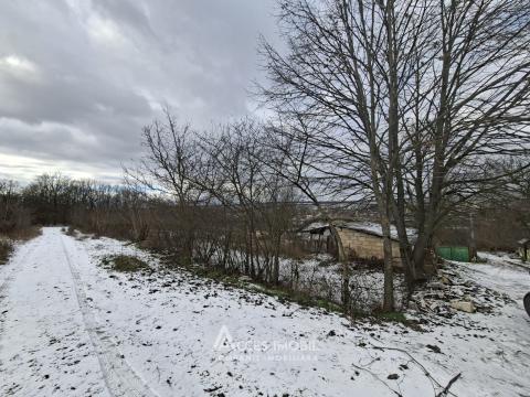 Teren pentru construcție, 42 ari! Brănești, str. Livezilor!: 4