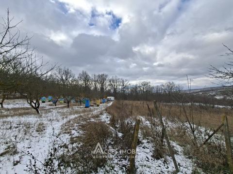 Teren pentru construcție, 42 ari! Brănești, str. Livezilor!: 7