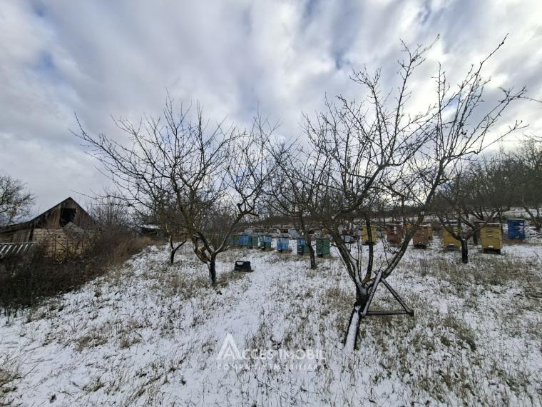 Teren pentru construcție, 42 ari! Brănești, str. Livezilor!: 8