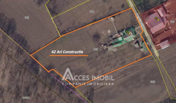 Teren pentru construcție, 42 ari! Brănești, str. Livezilor!: 9