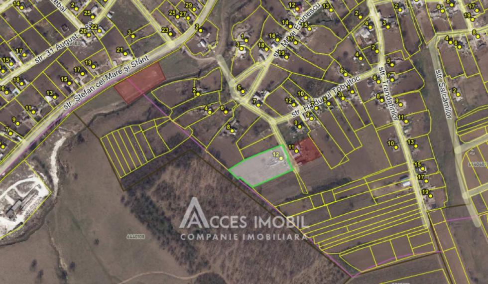 Teren pentru construcție, 42 ari! Brănești, str. Livezilor!: 11