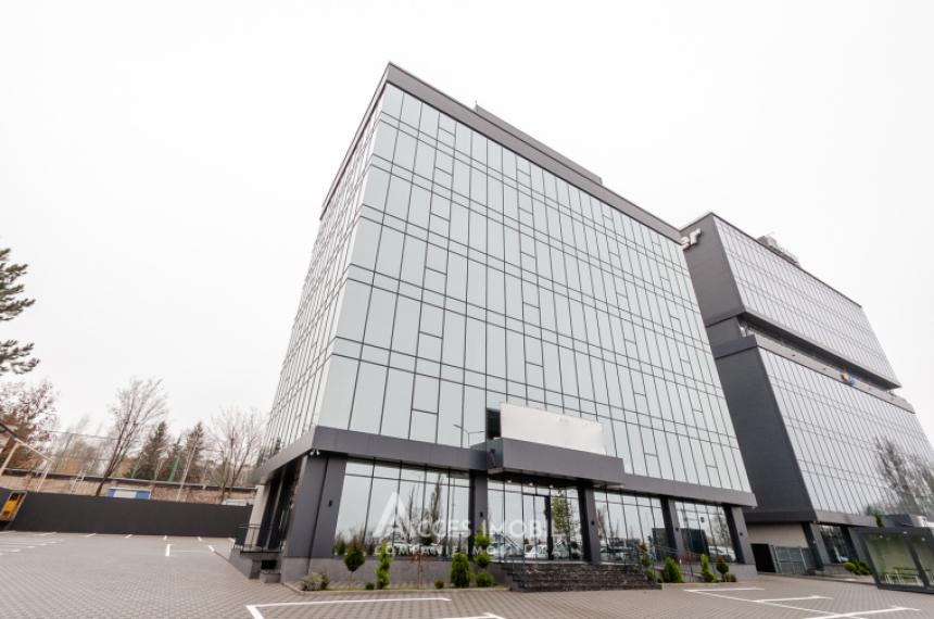 Spații de birouri de închiriat în sectorul Botanica, bd. Dacia – 366 mp!: 0