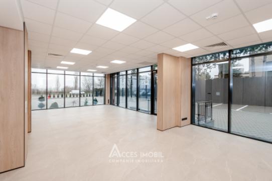 Spații de birouri de închiriat în sectorul Botanica, bd. Dacia – 366 mp!: 3