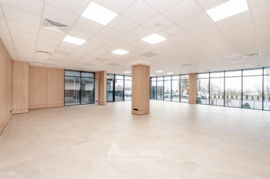 Spații de birouri de închiriat în sectorul Botanica, bd. Dacia – 366 mp!: 4