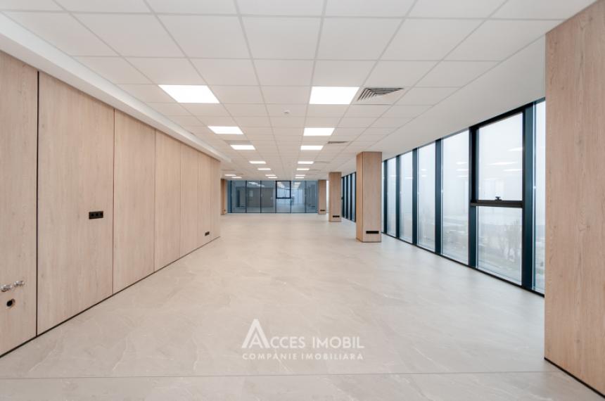 Spații de birouri de închiriat în sectorul Botanica, bd. Dacia – 366 mp!: 5