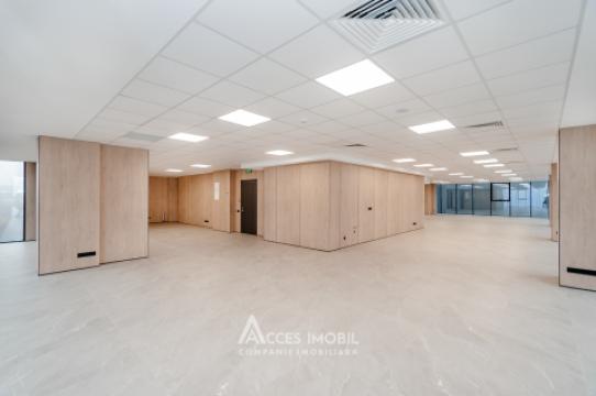 Spații de birouri de închiriat în sectorul Botanica, bd. Dacia – 366 mp!: 6