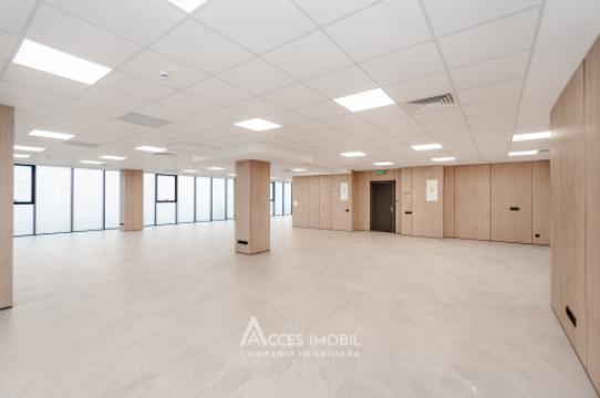 Spații de birouri de închiriat în sectorul Botanica, bd. Dacia – 366 mp!: 7