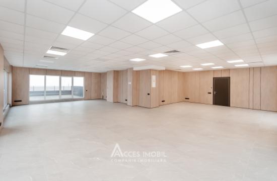 Spații de birouri de închiriat în sectorul Botanica, bd. Dacia – 366 mp!: 8