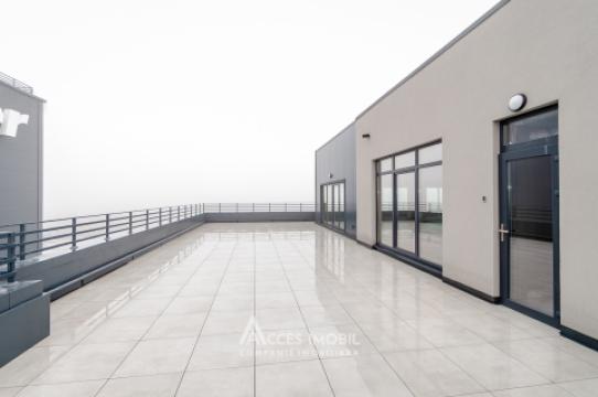 Spații de birouri de închiriat în sectorul Botanica, bd. Dacia – 366 mp!: 11