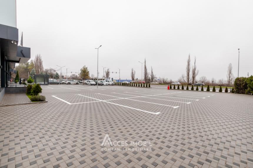 Spații de birouri de închiriat în sectorul Botanica, bd. Dacia – 366 mp!: 14